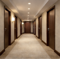 Wooden Doors Manufacturer For Interior, Apartment