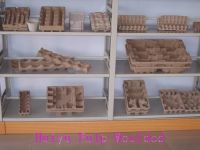 Moulded Pulps, paper pulp products