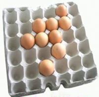 Egg Tray/egg Packaging/egg Box/egg Carton