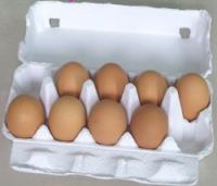 Egg Tray/egg Packaging/egg Box/egg Carton