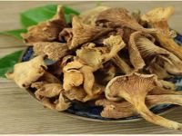 Chanterelles mushrooms