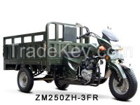 Tricycle Zm250zh-2b With Different Engines