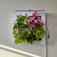 Wall-Mounted Green Living Wall Mobile Active Plant Livepicture No Electricity No Pump Living Wall with LED Grow Light