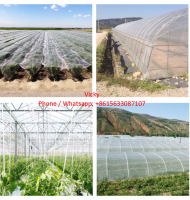 Insect Net Factory Bottom Price