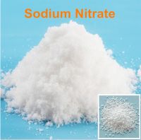 Shandong Weifang Supplier Low Price SodiumNitrate 99.3% NaNO2