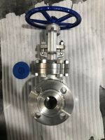 Stainless steel gate valve