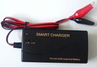 6V 12V 3A dual output sealed lead acid battery charger with slide switch