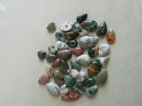 Whole Sale Amazing Various Shapes Ocean Jasper With Beautiful Druzy