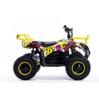 Mini quad bikes for kids