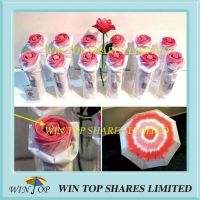 Rose Style Printing Elegant Umbrella