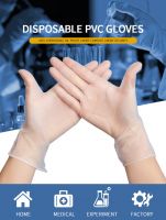 Wholesale powder free Disposable medical examination vinyl PVC gloves