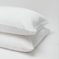 Cozy Earth Silk Pillow