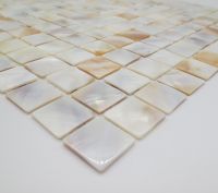 China factory direct offer Natural color water shell tile real mother of pearl mosaic 100% water proof