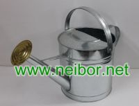 Galvanized Steel Watering Can