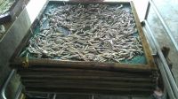 Dried Anchovy At The Best Price In Russia